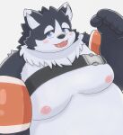  absurd_res anthro belly blep blue_eyes blush canid canine canis domestic_dog eyebrows fur grey_body grey_fur harima hi_res male mammal moobs nipples overweight solo tamacolle thick_eyebrows tongue tongue_out yukumaru3 