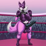  absurd_res anthro areola balls big_balls big_breasts big_penis black_penis boxing boxing_gloves breasts canid canine canis clothing fighting_ring fur genitals gynomorph hair handwear hexecat hi_res huge_balls humanoid_genitalia humanoid_penis hyper hyper_balls hyper_genitalia intersex latex mammal penis pink_body pink_fur punching_bag rubber rubber_clothing rubber_suit solo sport suit white_balls white_body white_fur white_hair yuni_hermit 