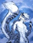  abs anthro athletic athletic_male big_tail black_pawpads blue_eyes chest_tuft claws claws_out crotch_tuft ears_back fangs fangs_bared featureless_crotch felid fluffy fluffy_tail fur fur_markings hair hi_res kramuth lightning_snow_leopard long_tail looking_at_viewer male mammal markings muscular muscular_male nude pantherine pawpads paws pink_nose pink_tongue pivoted_ears snow snow_leopard snowstorm solo standing tail tail_markings teeth tongue tuft white_hair 