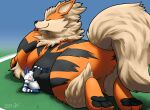  anthro arcanine arctic_fox belly big_belly blep blizzard_(blizzyfox) blush canid canine duo feral fox generation_1_pokemon hi_res male male/male mammal nintendo pinned pokemon pokemon_(species) raster_dreams squish tongue tongue_out winter_(blizzyfox) 
