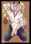  anthro clothed clothing felid from_the_front genitals hi_res kwakapaint male mammal on_knee pantherine partially_clothed penis pinup pose solo stripes tiger 