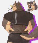  anthro blush brown_body brown_fur butt canid canine canis chatora_(pixiv) clothing domestic_dog fur lifewonders live_a_hero looking_at_viewer looking_back male mammal muscular muscular_anthro muscular_male pubraseer rear_view simple_background solo underwear white_background 
