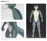  3d_(artwork) absurd_res anthro artbook beastars canid canine canis digital_media_(artwork) featureless_crotch fur hi_res japanese_text legoshi_(beastars) making_of_beastars male mammal multicolored_body naturally_censored nude official_art orange_co. solo text translation_request two_tone_body unknown_artist wolf 