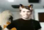  animal_humanoid beer_belly black_clothing black_shirt black_topwear canid canid_humanoid canine canine_humanoid clothing curvy_figure edited_screencap fox_humanoid hourglass_figure humanoid jerma985 low_res male mammal mammal_humanoid meme shirt smile tail topwear unknown_artist yellow_ears yellow_tail 