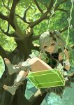  1girl absurdres bloomers bracelet chinese_commentary commentary_request cross-shaped_pupils dappled_sunlight dress from_below genshin_impact gold_trim gradient_hair green_eyes green_hair green_theme grey_hair hair_ornament highres in_tree jewelry leaf_hair_ornament multicolored_hair nahida_(genshin_impact) pointy_ears side_ponytail sidelocks solo stirrup_footwear stirrup_legwear sunlight swing swinging symbol-shaped_pupils syouko_jiaozijun toeless_legwear tree underwear white_bloomers white_dress 