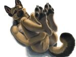  anthro canid canine canis creeps domestic_dog feet foot_fetish foot_focus german_shepherd herding_dog looking_at_viewer lying male mammal on_back pastoral_dog pawpads solo 