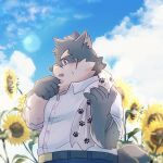  alli_paeonia anthro blush canid canine canis clothing domestic_dog dress_shirt eyebrows flower fur grey_body grey_fur hi_res lifewonders male mammal moritaka plant scar shirt side_view solo sunflower thick_eyebrows tokyo_afterschool_summoners topwear towel 