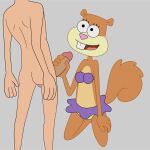  anthro balls bikini bikini_top breasts brown_body brown_fur buckteeth butt clothing duo female fur genitals handjob hi_res human human_on_anthro impstripe interspecies kneeling male male/female mammal multicolored_body multicolored_fur nickelodeon nude open_mouth open_smile penile penis rodent sandy_cheeks sciurid sex simple_background smile spongebob_squarepants swimwear tan_body tan_fur teeth tree_squirrel two_tone_body two_tone_fur 