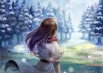  1girl belt brown_hair cloud cloudy_sky grass highres long_hair original red_belt red_scarf scarf sky snowing solo sunlight touchika tree 