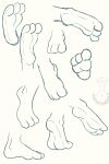  2020 3_toes ambiguous_gender black_and_white digital_media_(artwork) feet foot_focus hi_res justathereptile line_art model_sheet monochrome multiple_angles multiple_poses pose simple_background toes watermark white_background zero_pictured 