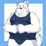  1:1 anthro bandage blue_eyes blush bulge canid canine canis clothing domestic_dog embarrassed fur hi_res lifewonders live_a_hero male mammal one-piece_swimsuit overweight school_swimsuit solo swimwear white_body white_fur yaki_atsuage yohack 