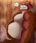  2023 anthro belly biceps blush brown_body brown_ears brown_fur bulge dipstick_ears erection fur gender_symbol genitals hi_res male male_symbol mammal multicolored_body multicolored_ears multicolored_fur musclegut nullraihigi overweight overweight_anthro overweight_male penis pictographics side_view solo speech_bubble suid suina sus_(pig) symbol wild_boar 