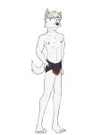  adastra adastra_(series) anthro canid canine canis cassius_(adastra) clothed clothing echo_project fuze hi_res loincloth_only male mammal navel nipples simple_background solo topless white_background wolf 