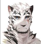  1boy animal_ears arknights artist_request bara beard facial_hair fluffy furry furry_male goatee looking_to_the_side male_focus mountain_(arknights) neck_fur nude painterly portrait scar scar_across_eye short_hair sideways_glance solo thick_eyebrows tiger_boy tiger_ears white_hair 