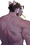  absurd_res anthro back_muscles black_hair clothed clothing domestic_cat felid feline felis food fries fur grey_body grey_fur hair hi_res lifewonders live_a_hero male mammal mature_male muscular muscular_anthro muscular_male rear_view solo syukapong topless tsuneaki 