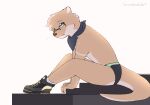  adrian_(snowstormbat) anthro clothing eyewear footwear glasses hi_res male mammal mustelid otter shoes sitting snowstormbat socks speedo swimwear 