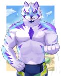  abs absurd_res anthro beach blue_eyes bottomwear canid canine clothing fur hi_res kemo_kemo56 lifewonders live_a_hero male mammal multicolored_body multicolored_fur muscular muscular_anthro muscular_male navel pecs sadayoshi seaside shirtless shorts solo 