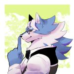  2023 5_fingers anthro blue_body blue_fur canid canine canis clothing esperdica eyewear fingers fur glasses hair hi_res lifewonders live_a_hero looking_at_viewer male mammal nokia1124_a shirt solo topwear vest white_body white_fur wolf 