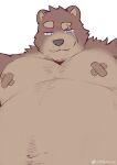  1boy absurdres animal_ears arange_(youhei79384157) bandaid bandaids_on_nipples bara bear_boy bear_ears big_belly brown_fur empty_eyes facial_hair from_below furry furry_male goatee_stubble heterochromia highres large_pectorals looking_at_viewer male_focus mature_male muscular muscular_male mustache_stubble navel navel_hair nude original pasties pectorals raised_eyebrow seductive_smile short_hair smile solo sparse_chest_hair stomach stubble thick_eyebrows upper_body 