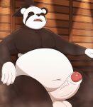  absurd_res anthro balls bear big_penis bodily_fluids brick_break_after_dark erection eyes_closed foreskin freedom_planet galaxytrail general_gong genitals giant_panda hi_res male mammal musk open_mouth overweight penis sauna solo sweat tagme vein 
