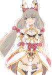  1girl animal_ear_fluff animal_ears bare_shoulders breasts brown_eyes collarbone commentary_request detached_sleeves facial_mark grey_hair highres kokkou_1 leotard long_hair long_sleeves looking_to_the_side nia_(xenoblade) parted_lips simple_background small_breasts solo very_long_hair white_background white_leotard white_sleeves xenoblade_chronicles_(series) xenoblade_chronicles_2 