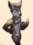  anthro brown_eyes bulge canid canine canis fur hi_res looking_at_viewer male mammal multicolored_body multicolored_fur smile solo two_tone_body two_tone_fur wolf yildunstar 