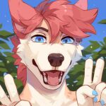  1:1 ambiguous_gender anthro blue_eyes blue_sky brown_nose bust_portrait canid cheek_tuft corzh77 facial_tuft fangs front_view fur gesture glistening glistening_eyes hair hi_res leaf looking_at_viewer mammal open_mouth orange_body orange_fur portrait red_hair red_tongue sky solo tan_body tan_fur teeth tongue tuft v_sign 