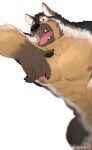  1boy animal_ear_fluff animal_ears bara black_fur boogbogex brown_eyes brown_fur chest_hair dog_boy dog_ears feet_out_of_frame furry furry_male haki_(boogbogex) half-closed_eyes highres large_hands large_pectorals looking_at_viewer male_focus muscular muscular_male nipples nude open_mouth orange_fur original out-of-frame_censoring pectorals short_hair solo thick_eyebrows tongue tongue_out whiskers white_fur 