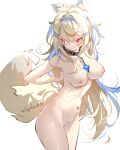  1girl animal_ear_fluff animal_ears blonde_hair blue_hair breasts chain cleavage collar collarbone dog_ears dog_girl dog_tail fuwawa_abyssgard hair_ornament hairclip headband hololive hololive_english large_breasts long_hair multicolored_hair navel nipples nude red_eyes solo streaked_hair sydus tail two-tone_hair two_side_up virtual_youtuber white_background 