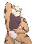  abs anthro arcanine black_body black_fur bulge canid clothed clothing fangs fur generation_1_pokemon genital_outline hand_behind_head hi_res jrjresq lying male mammal muscular muscular_anthro muscular_male nintendo nipples on_back orange_body orange_fur pecs penis_outline pokemon pokemon_(species) smile solo teeth underwear underwear_only 