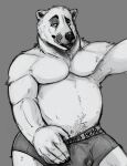  absurd_res anthro bear belly black_nose bodily_fluids boxers_(clothing) chubby_anthro chubby_male claws clothing digital_media_(artwork) finger_in_underwear fur genital_fluids hi_res licking licking_lips licking_own_lips looking_at_viewer male mammal olipieseq_(artist) polar_bear rihad selfie simple_background slightly_chubby solo tongue tongue_out underwear ursine wet wet_clothing white_body 