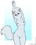  5_fingers arctic_fox barkyeet black_claws black_nose breasts canid canine chloe claws eyebrows female fingers fox foxboy83 fur genitals grey_nipples grey_tongue hi_res mammal nipples pussy small_breasts solo tail tongue tongue_out white_body white_fur 