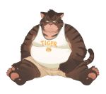  2023 absurd_res anthro belly big_belly bottomwear clothing feet felid hi_res humanoid_hands huynhduyad14 kemono male mammal overweight overweight_male pantherine shirt shorts sitting solo tiger topwear 