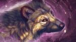  animated canid canine canis female feral galaxy mammal melodyofforest solo space wolf 