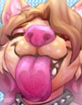  2022 anthro artist_name brown_hair canid canine canis collar domestic_dog eyebrows eyelashes eyes_closed female hair kenocoa licking licking_screen long_hair mammal pink_nose sharp_teeth smile solo spiked_collar spikes teeth tongue tongue_out 
