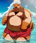  2023 absurd_res anthro belly big_belly brown_body bulge canid canine canis clothing cloud detailed_background domestic_dog hi_res humanoid_hands kemono kumajjjj male mammal moobs nipples outside overweight overweight_male solo swimwear water 