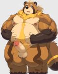  2023 absurd_res anthro balls belly bhtoss big_belly black_nose blush brown_body canid canine erection genitals hi_res humanoid_hands kemono male mammal moobs nipples overweight overweight_male penis raccoon_dog solo tanuki 