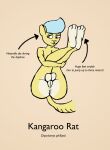  absurd_res anthro balls big_ears big_feet blue_hair blush butt dipodomyine feet foot_focus genitals hair heteromyid hi_res kangaroo_rat male mammal perineum pink_eyes presenting presenting_hindquarters quiff_(hairstyle) rodent scientific_name solo solo_focus tail thereexistsk yellow_body 