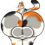  2023 against_surface alpha_channel anthro backsack balls big_balls big_butt black_body black_fur butt butt_to_viewer calico_cat domestic_cat eyes_closed felid feline felis fur genitals hi_res huge_butt hyper hyper_butt jelly_jam looking_at_viewer looking_back low-angle_view male mammal marcel_(scoobie62) narrowed_eyes nude on_glass orange_body orange_fur outline pink_inner_ear rear_view simple_background solo solo_focus thick_thighs thighs_together transparent_background white_body white_fur white_outline 