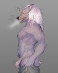  2023 anthro asian_clothing athletic athletic_anthro athletic_male biped black_nose blaidd_(elden_ring) breath bulge butt canid canine canis claws clothing digital_media_(artwork) east_asian_clothing elden_ring facial_scar fangs finger_claws fromsoftware fundoshi fur grey_background grey_body grey_fur hair hi_res japanese_clothing long_hair male mammal meme nipples open_mouth scar scars_all_over simple_background solo squibbysquiggles teeth tight_pants_(meme) underwear white_hair wolf 