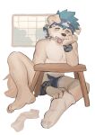  anthro bandanna blue_hair boxers_(clothing) canid clothed clothing doggyaubrey exhausted footwear furniture hair hi_res kerchief male mammal partially_clothed socks solo table underwear white_body yellow_eyes 