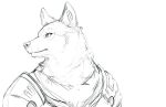  anthro armor bust_portrait canid cheek_tuft clothed clothing facial_tuft front_view hi_res kuttoyaki male mammal monochrome mouth_closed neck_tuft portrait shoulder_pads simple_background sketch solo tuft 