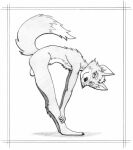  anthro balls bent_over canid canine dogwash fox fox_mccloud genitals graphite_(artwork) greyscale looking_at_viewer male mammal monochrome nintendo raised_tail smile smiling_at_viewer solo star_fox stretching tail traditional_media_(artwork) 