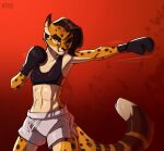  abs anthro boxing_gloves bra bronx23 cheetah clothing felid feline female handwear mammal muscular muscular_female solo sports_bra trinity_barnett underwear vtza 