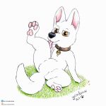  bolt_(film) butt canid canine canis collar cute_expression cute_eyes disney domestic_dog feral hi_res legs_up male mammal patreon patreon_link patreon_logo patreon_username pawpads paws raised_leg smile solo spread_legs spreading text tongue tongue_out url yordraw 
