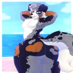  absurd_res anthro australian_shepherd beach big_butt butt canid canine canis curvy_figure domestic_dog fur herding_dog hi_res kiba_aussie korick17 looking_at_viewer male mammal nude pastoral_dog pose presenting seaside sheepdog solo spots spotted_body spotted_fur thick_thighs 