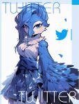  absurd_res anthro avian beak bird blue_body blue_eyes blue_feathers blue_hair breasts clothed clothing eyelashes feathered_wings feathers female front_view fully_clothed hair hi_res meme neck_tuft nonoka917 solo tuft tweetfur twitter winged_arms wings 