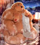  2023 absurd_res anthro balls bathing belly big_belly blush brown_body brown_fur canid canine canis domestic_dog fur genitals hi_res kemono kumajjjj male mammal moobs mountain night nipples overweight overweight_male penis sitting solo steam towel water 