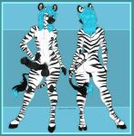  anthro blue_eyes blue_hair butt equid equine genitals girly hair hi_res male mammal model_sheet penis phinni solo solo_focus wide_hips zebra 