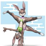  4_fingers absurd_res anthro athletic_wear blue_eyes brown_body brown_fur brown_hair cartwheel carys_(nebula1701) cerys_(nebula1701) duo ear_piercing female fingers flat_chested fur hair hi_res inverted_(disambiguation) lagomorph leporid looking_at_crotch mammal mykegreywolf piercing pose rabbit sibling spots spotted_body spotted_fur twins 